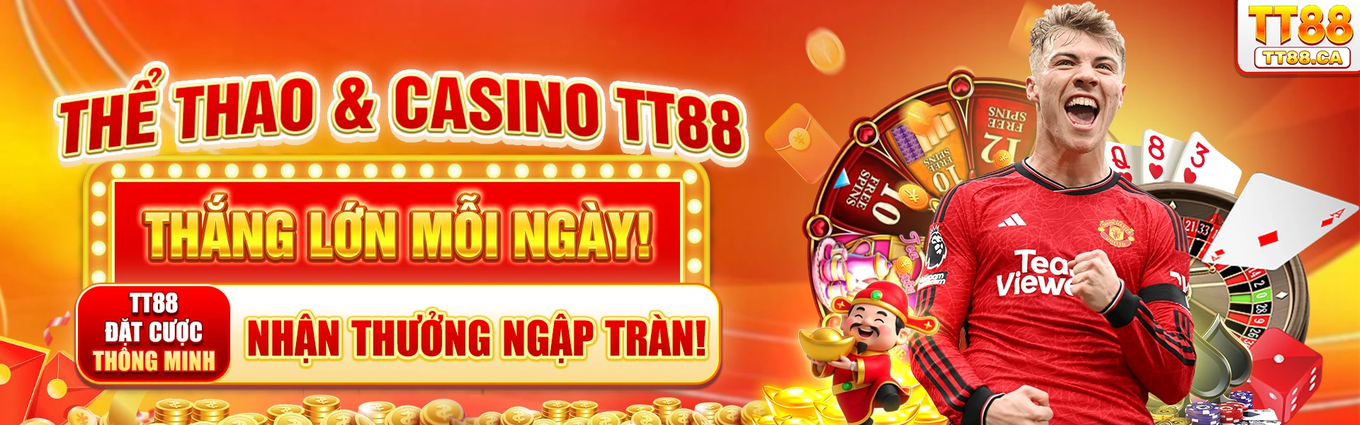 baner-tt88-2